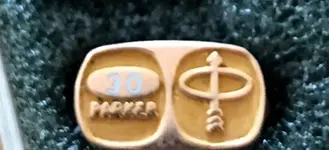 PRK 30 service pins 25 to 45years of service 84_nfuente Tsachi Mitsenmacher.webp