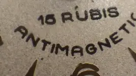 IMGP1223.webp