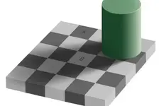 ilusion-optica-adelson.webp