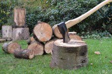 12361379-hacha-y-el-árbol-de-madera-registra-listo-para-cortar.jpg