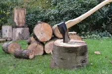 12361379-hacha-y-el-árbol-de-madera-registra-listo-para-cortar.webp