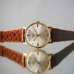 10969508_s210_v1555098962030.webp