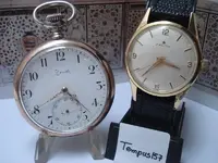 Tempus157 , Zenith.webp