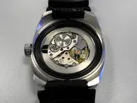 DSCN5318.webp