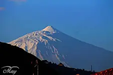 1487790_553956214695207_1075262973_o.webp