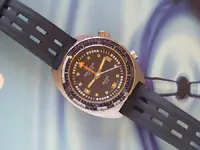 IMGP7590.webp