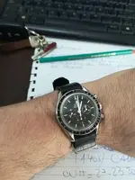 15698592800878548318050962215983.webp
