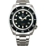 Seiko SBGH255.webp