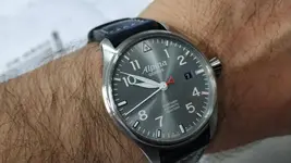 alpina.webp
