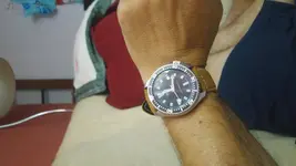 1571264290772287263450.webp