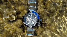 20180821_102402.webp