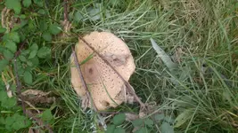 20191027_134801.webp
