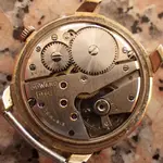IMGP1322.webp