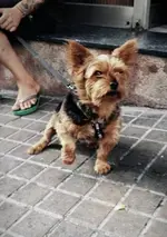 72F57163-D00F-4E8B-8FE2-2580CEDA1F19.webp