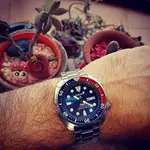 Seiko Prospex SRPA21 'Turtle' PADI Cal. 4R36 Auto 200M  (2).webp