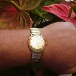 IMGP1278.webp