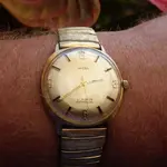 IMGP1279.webp