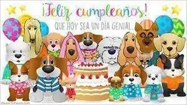 perroscumpleaños.webp