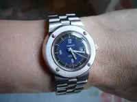 Wristshot.webp