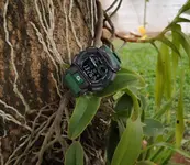 G-Shock Verde.webp