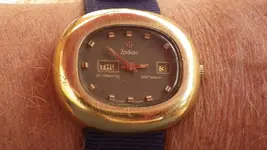 IMGP1403.webp