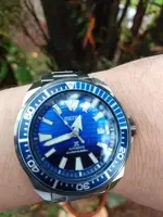 seiko 10.webp