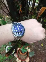 seiko 11.webp