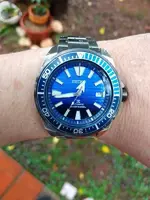 seiko 12.webp