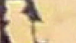 070.webp 070.webp