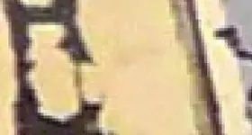 069.webp 069.webp