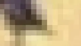 071.webp 071.webp
