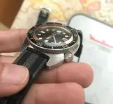 seiko2.webp