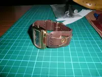 CIMG0453.webp