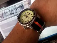 563645_10201483285317686_154004341_n.webp
