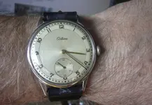 P1110882.webp