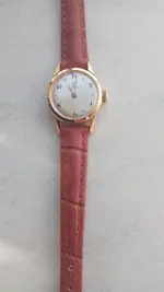 OMEGA 244 FOTO 2.webp