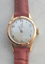 OMEGA 244 FOTO 3.webp