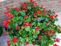 20191124_135704.webp