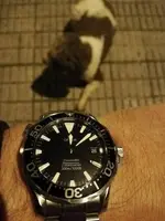 OMEGA SEAMASTER 2254 00019.webp