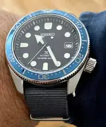 Seamaster h.webp