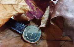 _20191129_094728.webp