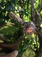 IMG_20191129_080440693.webp