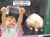 GATO TXEMA 2 002.webp