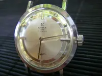 CYMA 335 R 484 b.webp