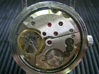CYMA 335 R 484 e.webp