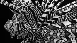 Lionfish_detail.webp