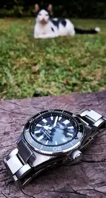 20191229_195308-01.webp