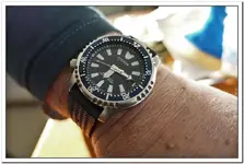 Fugu.webp