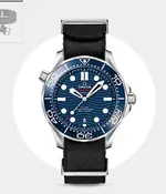 CORREA NATO OMEGA 02.webp