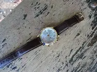 DSCN9924.webp